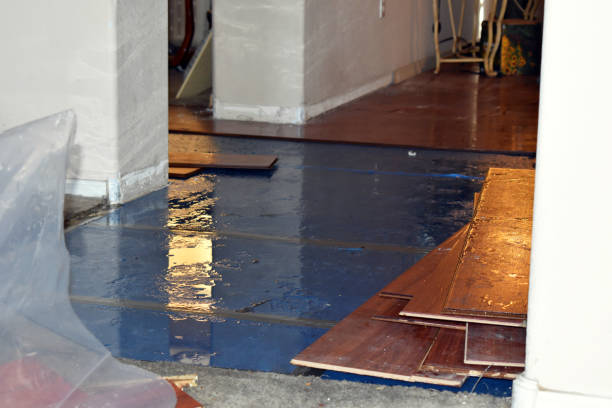 Professional Emergency Water Damage Restoration technician working in Winnebago, IL